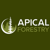 Apical Forestry
