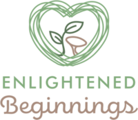 Enlightened Beginnings